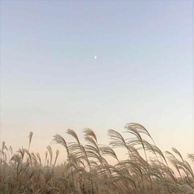 saudade.