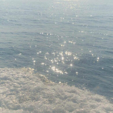 sea.